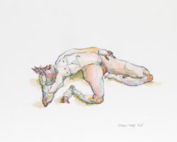Nightmares after a heavy dinner. The bad thing is to dream of being, worse, becoming poor. Here the contortions to attempt image recoveries are transformed into losses of dignity.
Nakedness is total, every trace of signature disappears.<br>
2016
Watercolour, Indian ink 35 x 25 cm